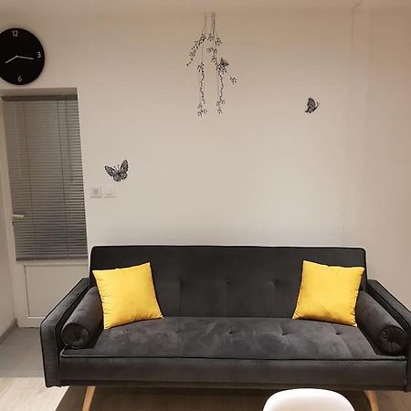 Studio Place De La Barre Le Cosy Apartment Macon Luaran gambar