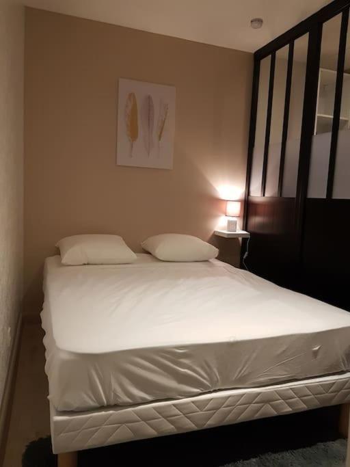 Studio Place De La Barre Le Cosy Apartment Macon Luaran gambar